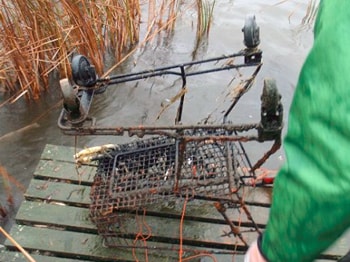 shopping cart found by a magnet