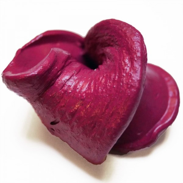 smart putty, stretchable, bouncy, tearable, non-sticky