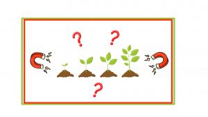 Effect of magnetic field on plant thriving: Myth or reality?