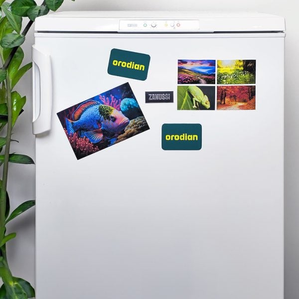 home-made magnets (using magnetic paper) on the fridge