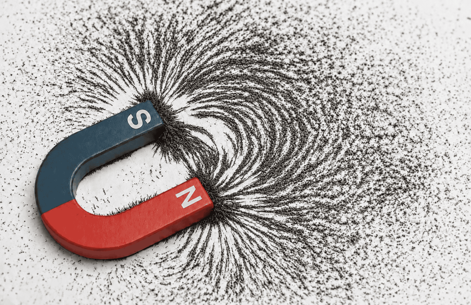 A magnet and iron filings